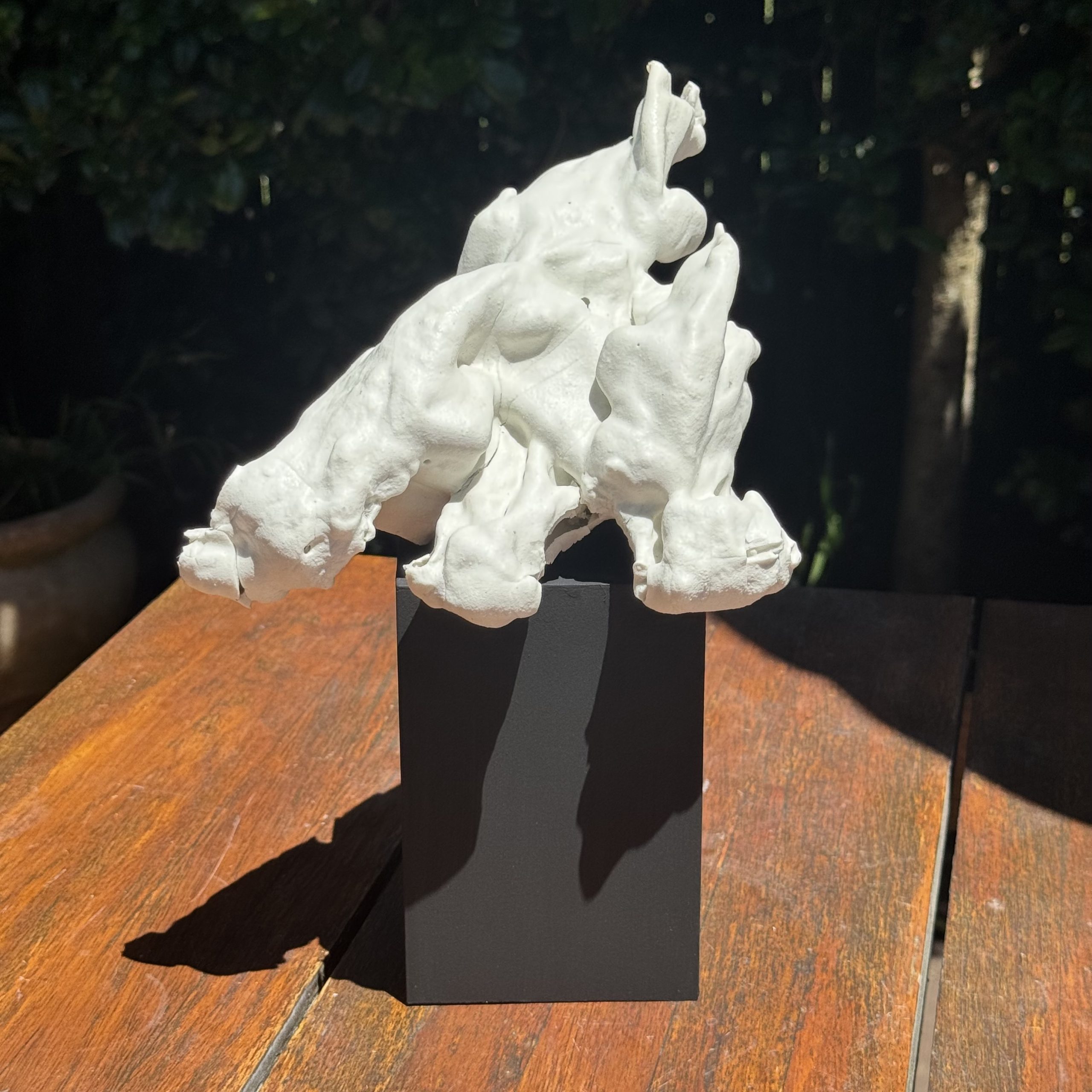 IMG_5989